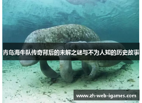青岛海牛队传奇背后的未解之谜与不为人知的历史故事